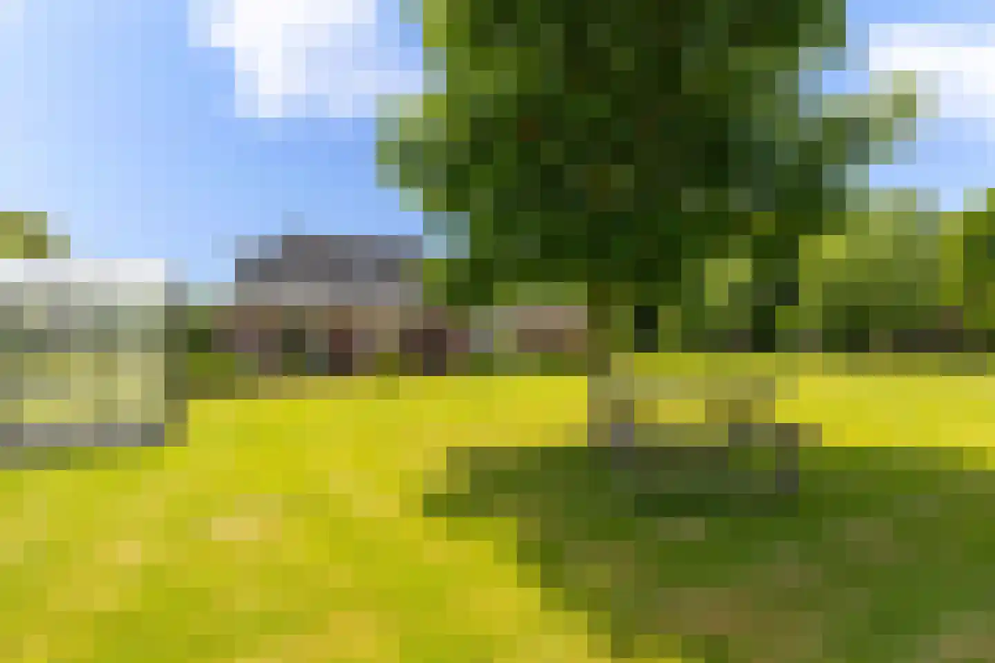 Keern 219 Zwaag thumbnail 42
