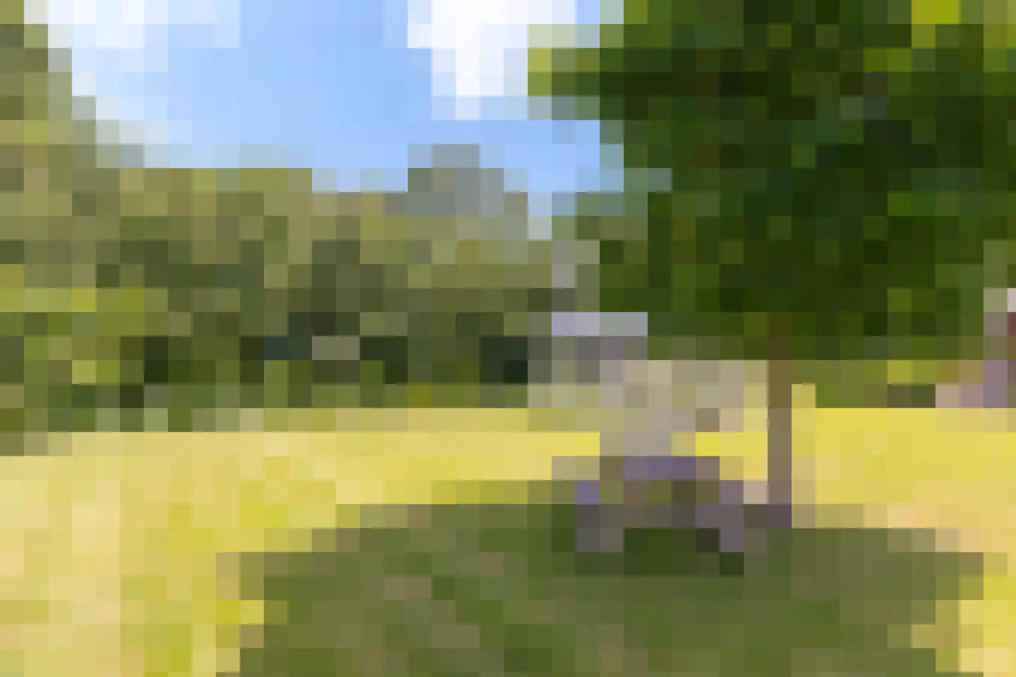 Keern 219 Zwaag thumbnail 44