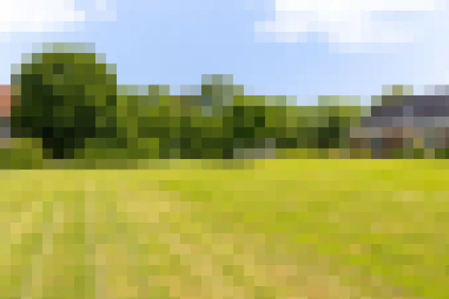 Keern 219 Zwaag thumbnail 50