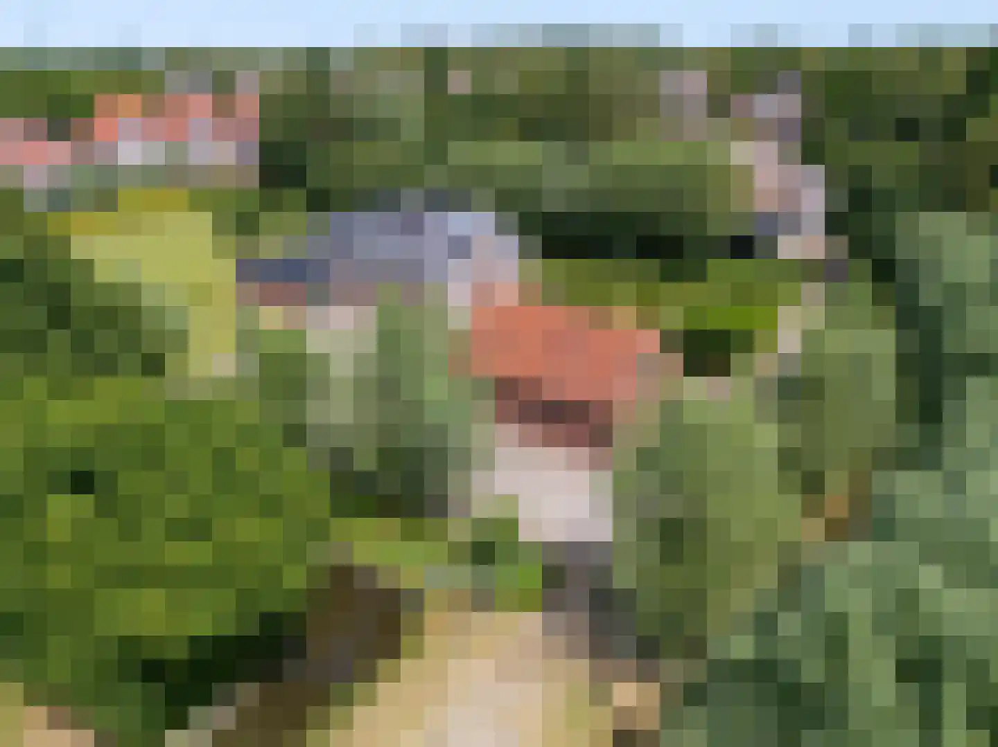Keern 219 Zwaag thumbnail 69