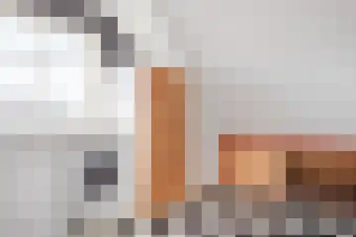 Keern 6 Kolhorn thumbnail 15