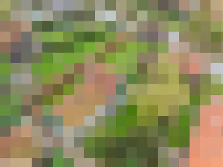 Keern 6 Kolhorn thumbnail 22
