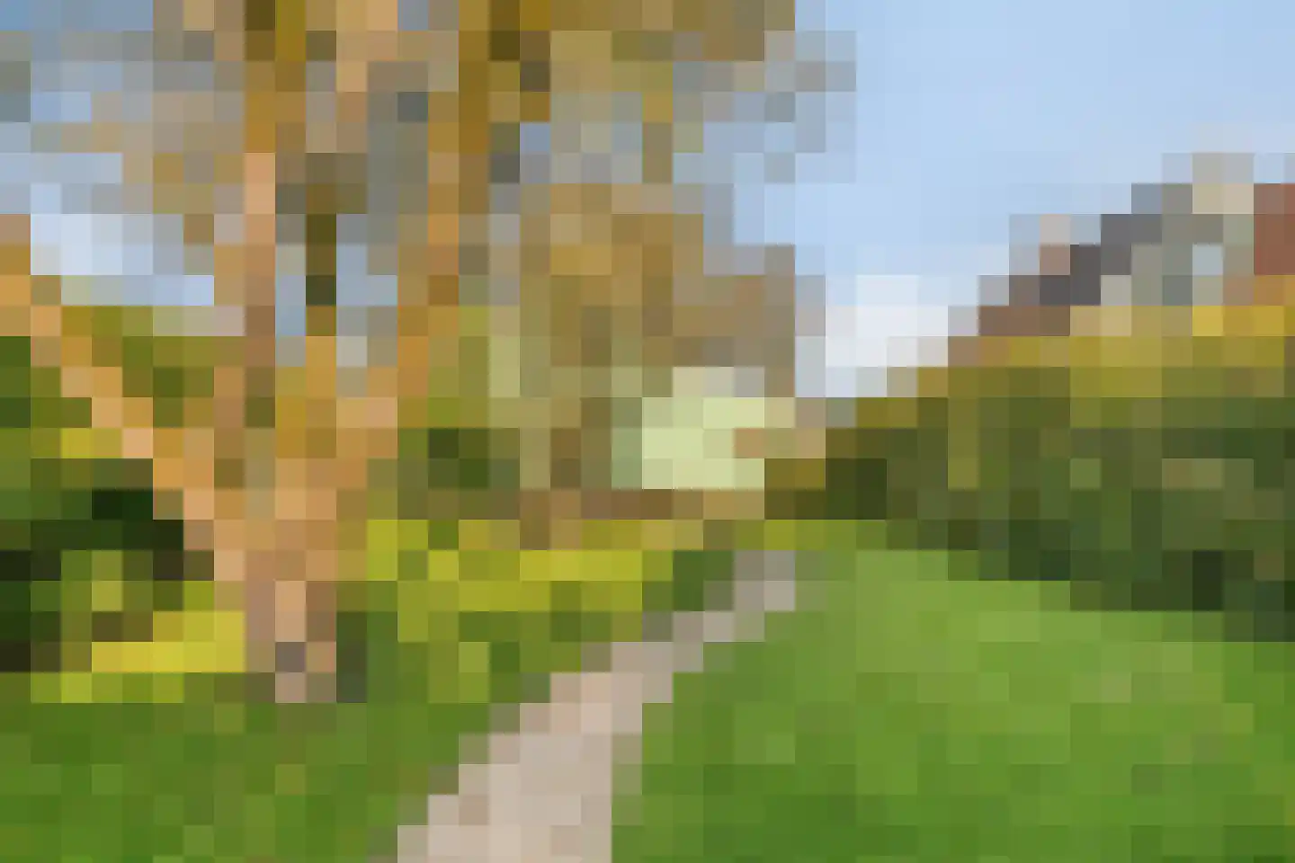 Keerngouw 14 Broek in Waterland thumbnail 25