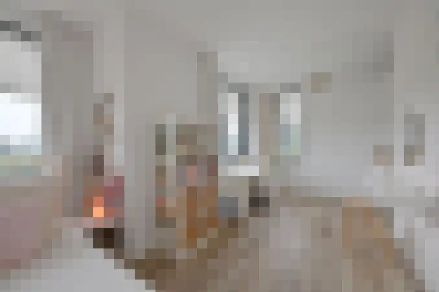 Keerploeg 18 Voorthuizen thumbnail 16