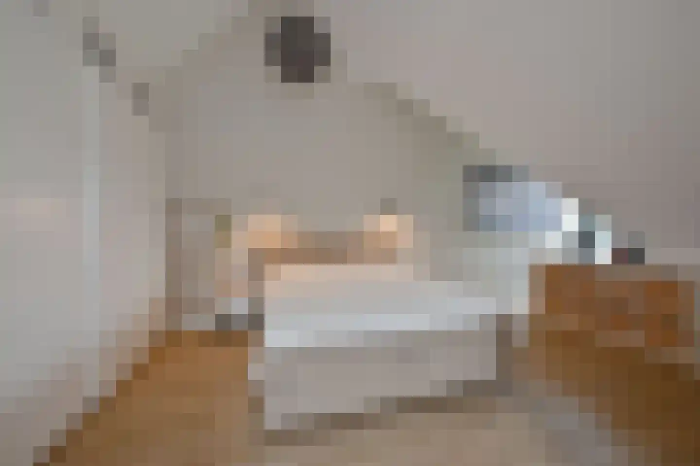 Keerploeg 18 Voorthuizen thumbnail 19