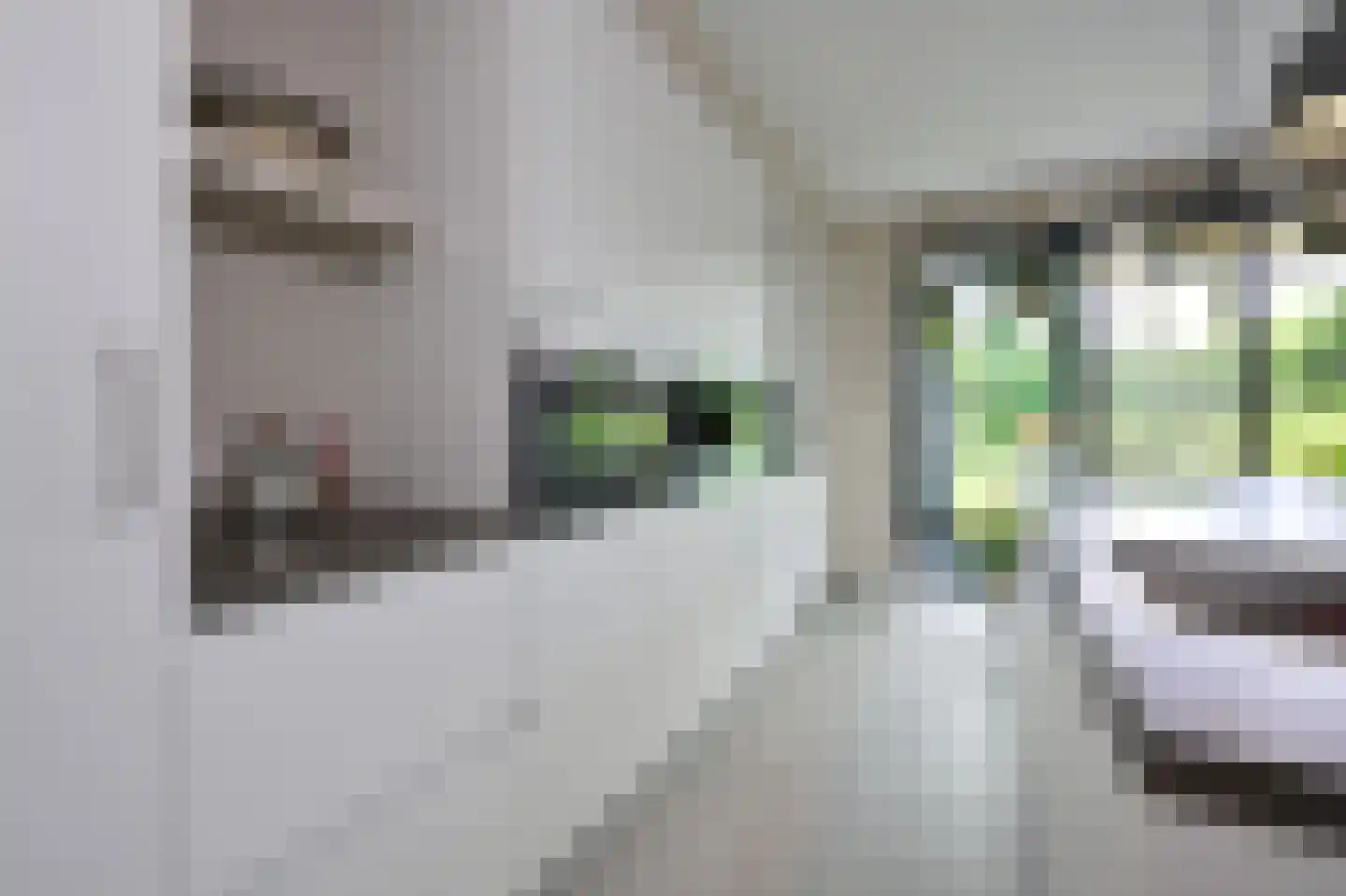 Keerploeg 18 Voorthuizen thumbnail 8