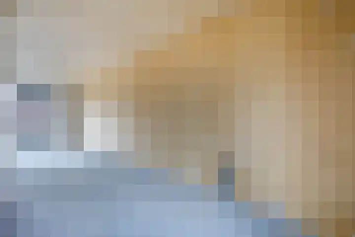 Keerploeg 19 Zevenhuizen thumbnail 12