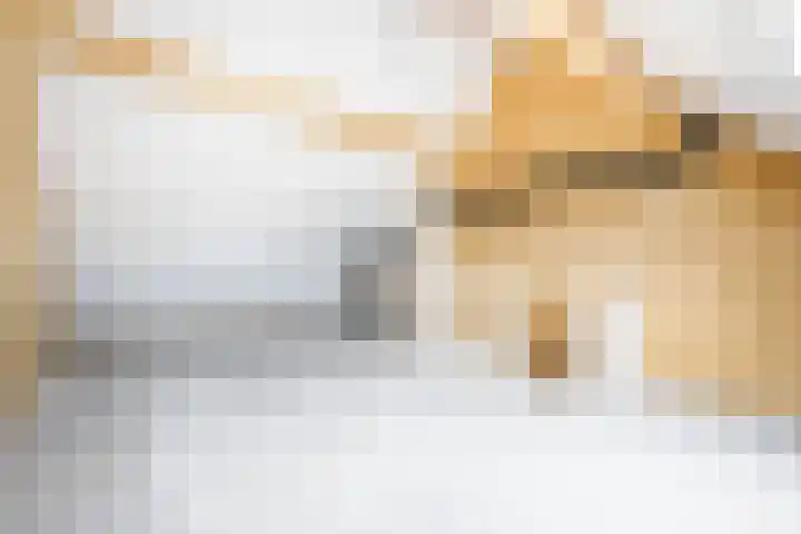 Keerploeg 19 Zevenhuizen thumbnail 24