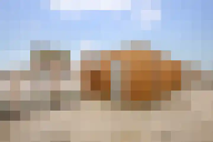 Keerploeg 19 Zevenhuizen thumbnail 28