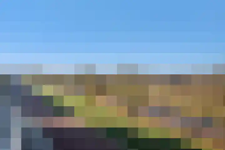 Keersluis 34 Alphen aan den Rijn thumbnail 13