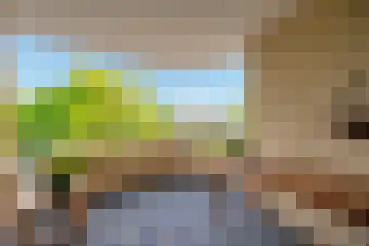 Keersluis 90 Alphen aan den Rijn thumbnail 10