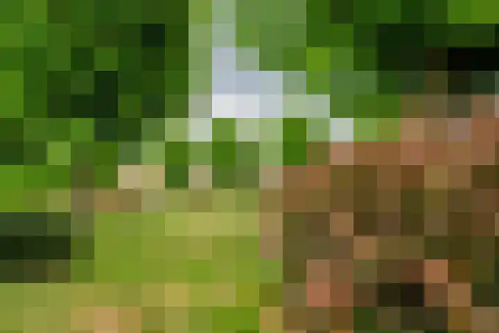 Keersluis 90 Alphen aan den Rijn thumbnail 22