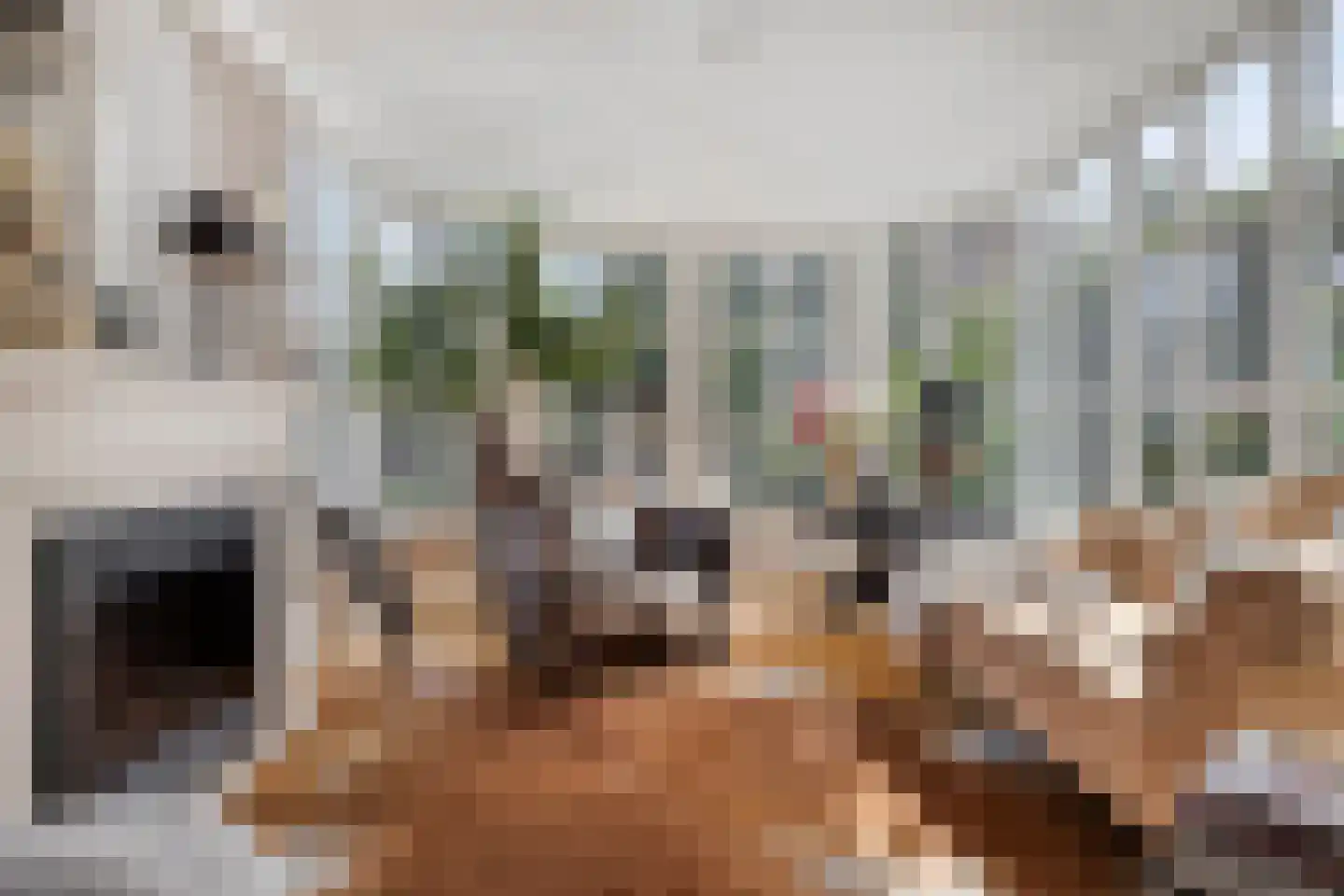Keersop 13 Veldhoven thumbnail 5