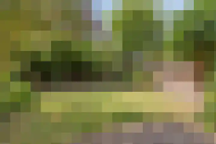 Keersopperweg 27 Valkenswaard thumbnail 18