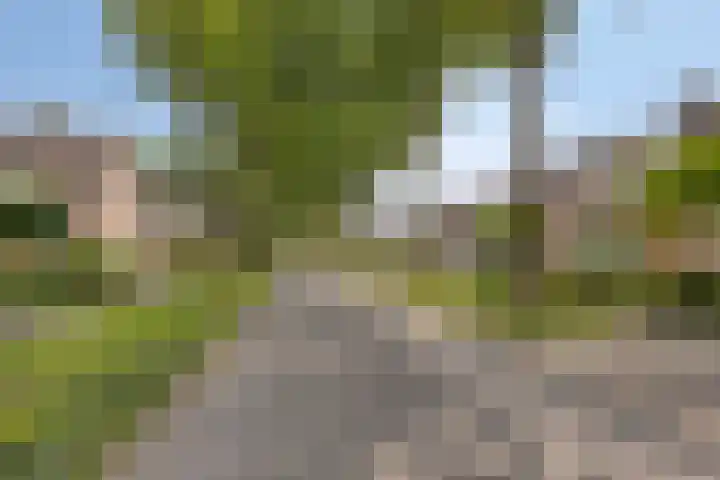 Keersopperweg 27 Valkenswaard thumbnail 22