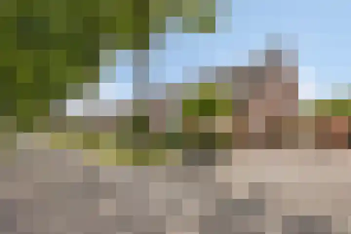Keersopperweg 27 Valkenswaard thumbnail 23