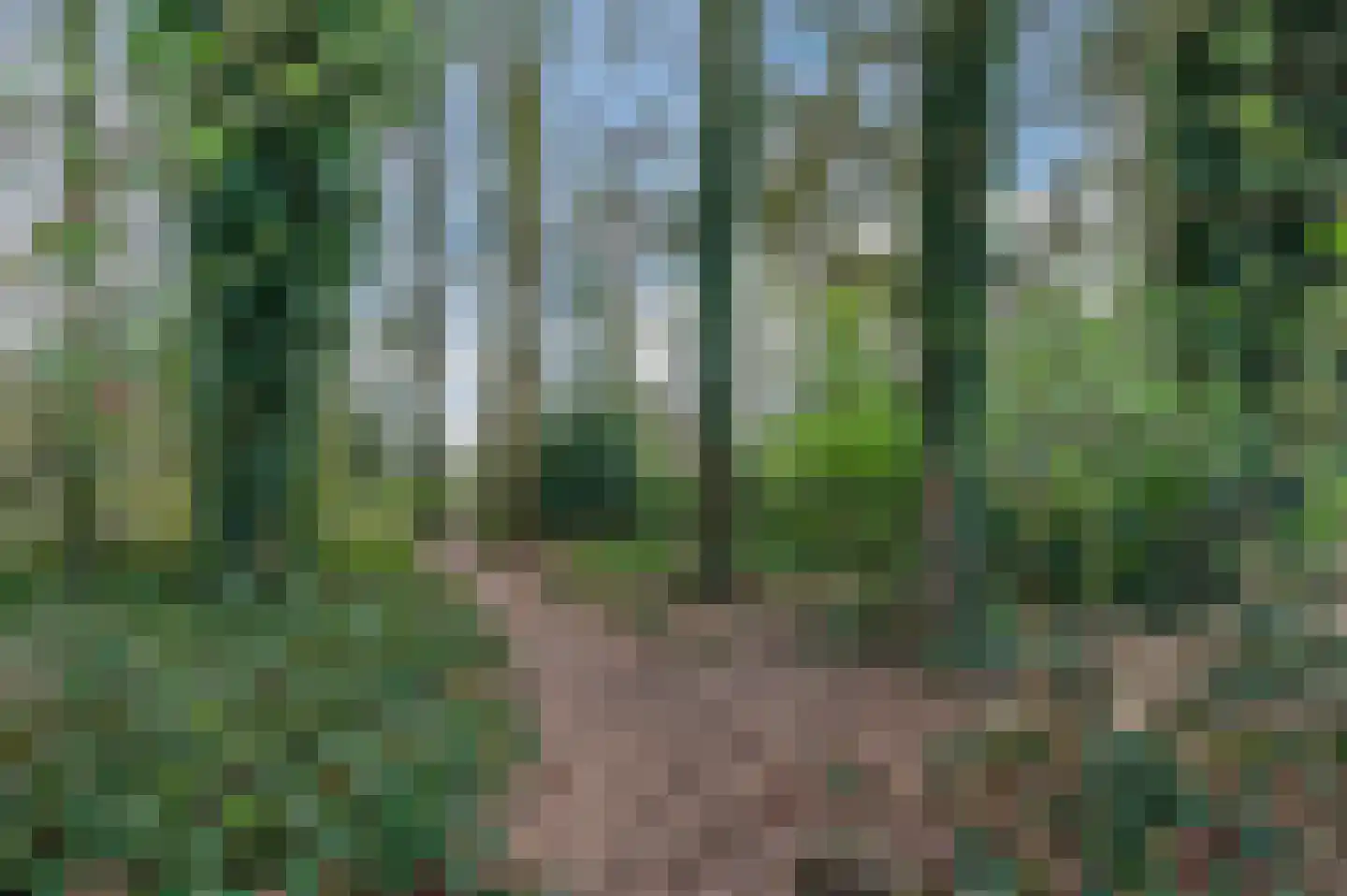 Keersopperweg 33 Valkenswaard thumbnail 52
