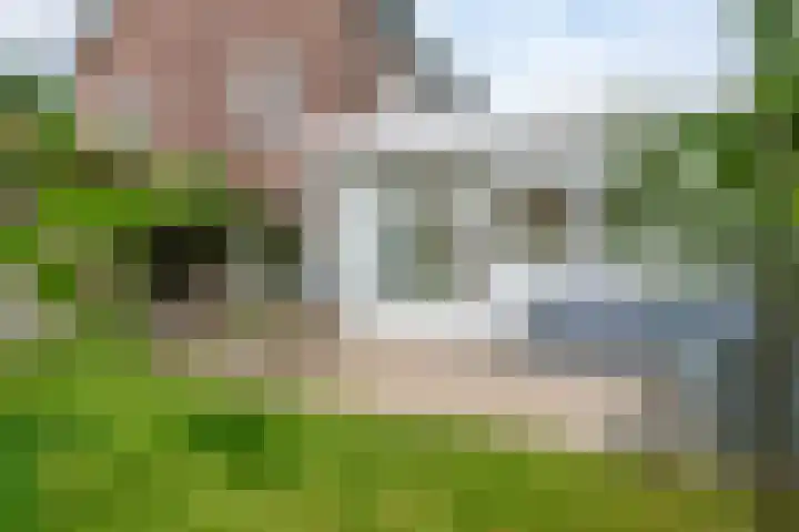 Keerweer 13 Oosterbeek thumbnail 32