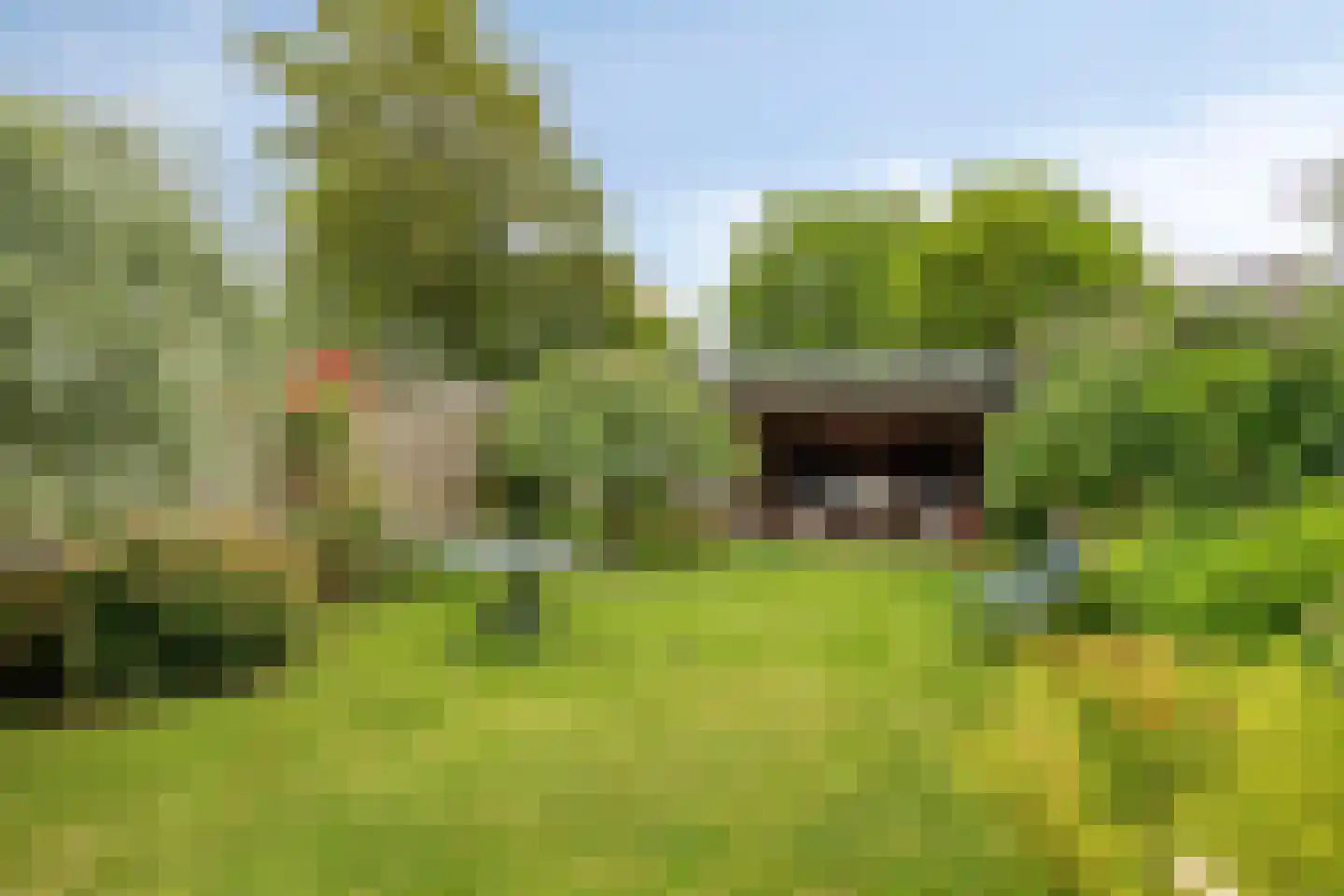 Keerweer 26 Oosterbeek thumbnail 30