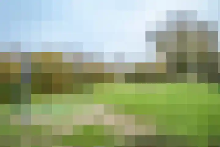Keerweer 31 Rozenburg thumbnail 37