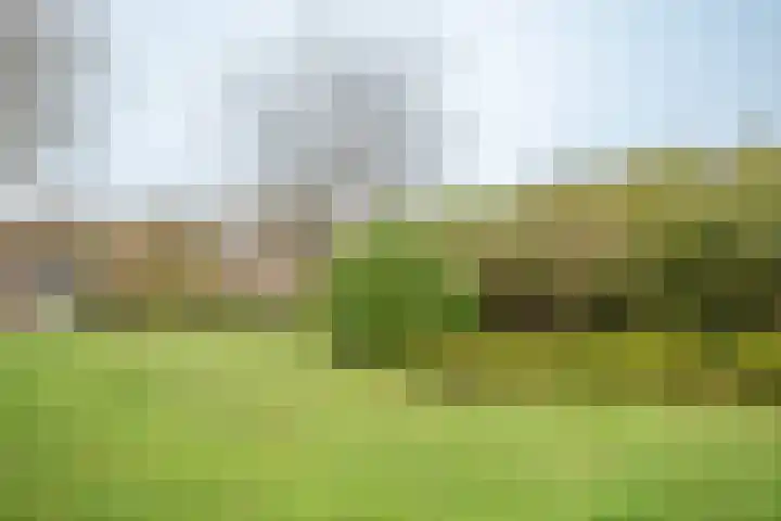 Keerweer 31 Rozenburg thumbnail 38