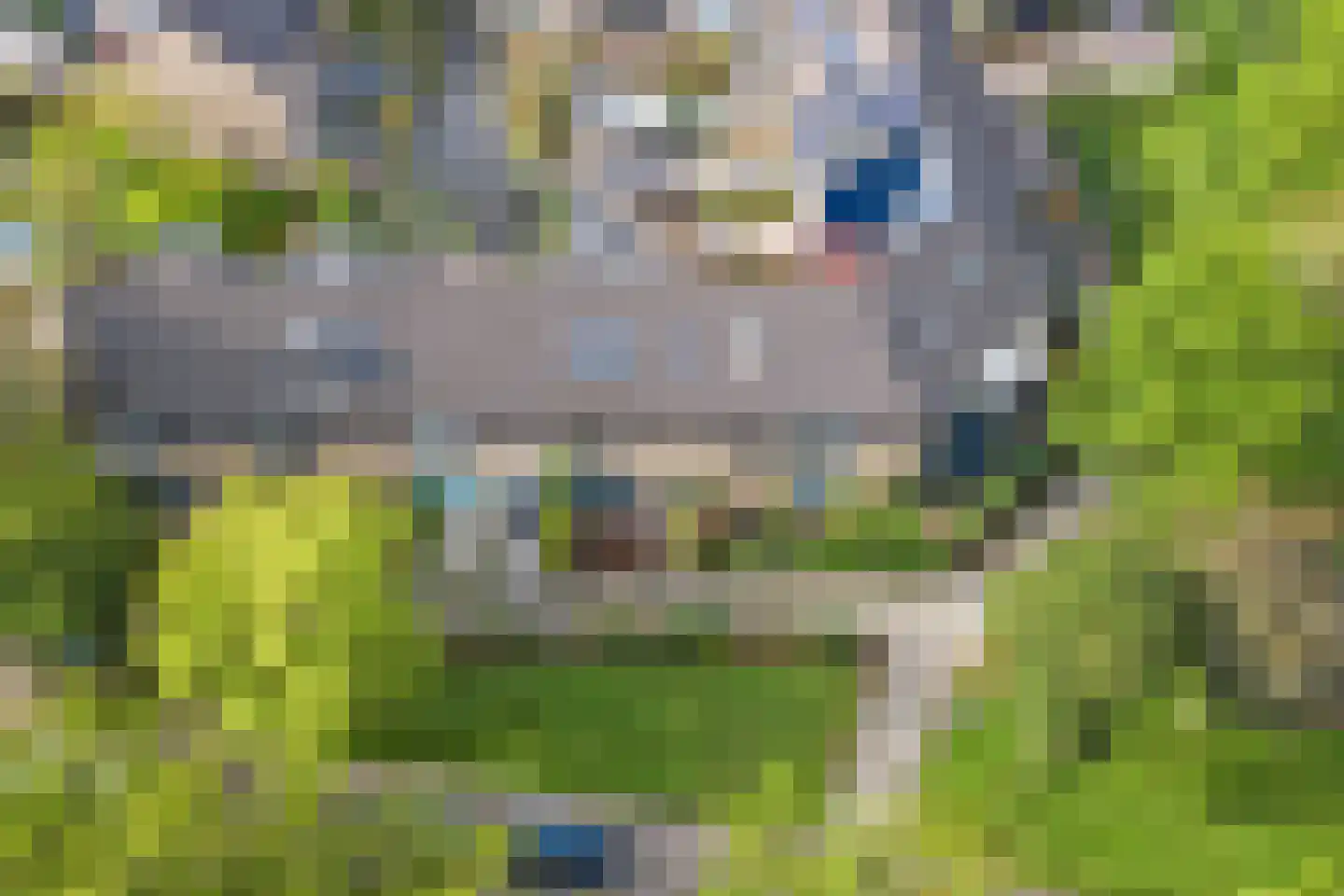 Keerweer 7 Rozenburg thumbnail 7