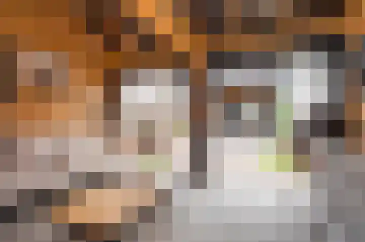 Keerweg 30 Buchten thumbnail 34