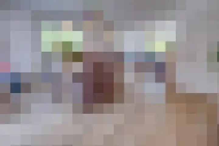 Keerweg 64 Buchten thumbnail 10