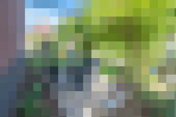 Keerweg 64 Buchten thumbnail 34