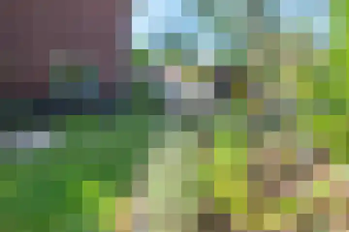 Keerweg 64 Buchten thumbnail 4