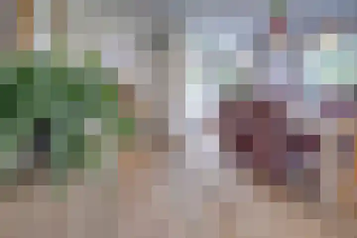 Keerweg 64 Buchten thumbnail 9