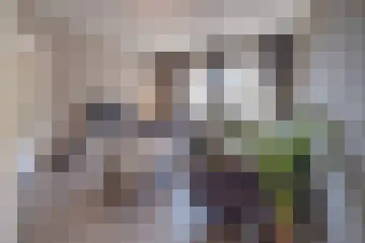 Keerweg 99 Buchten thumbnail 9