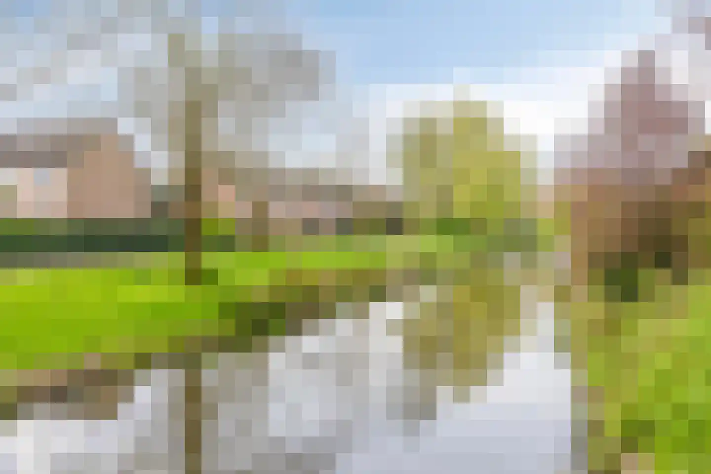 Kees Bakelserf 6 Amersfoort thumbnail 32