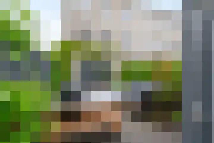 Kees de Beverpad 12 Eindhoven thumbnail 31