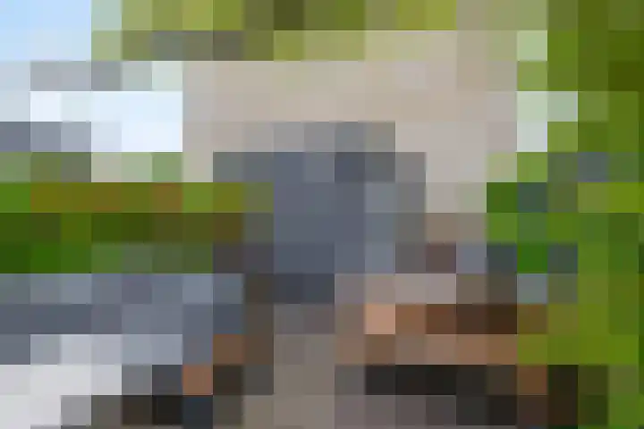 Kees de Beverpad 12 Eindhoven thumbnail 35