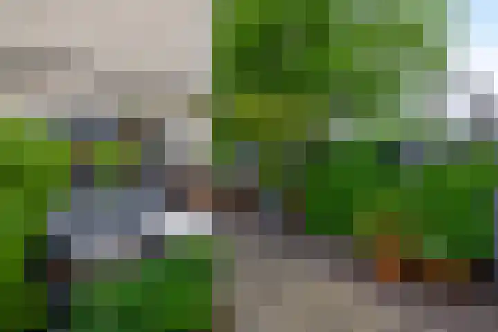 Kees de Beverpad 12 Eindhoven thumbnail 36