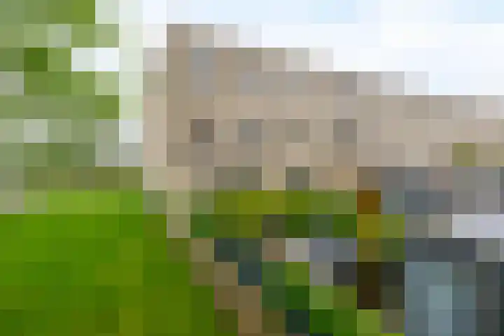 Kees de Beverpad 12 Eindhoven thumbnail 37