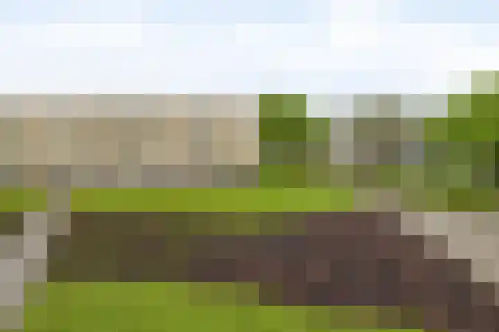 Kees de Beverpad 12 Eindhoven thumbnail 39