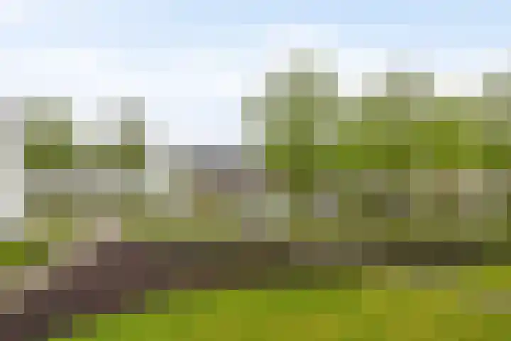 Kees de Beverpad 12 Eindhoven thumbnail 40