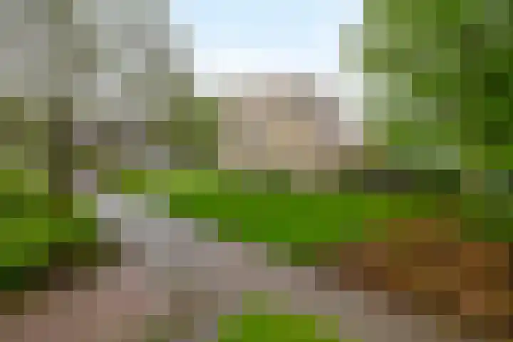 Kees de Beverpad 12 Eindhoven thumbnail 41
