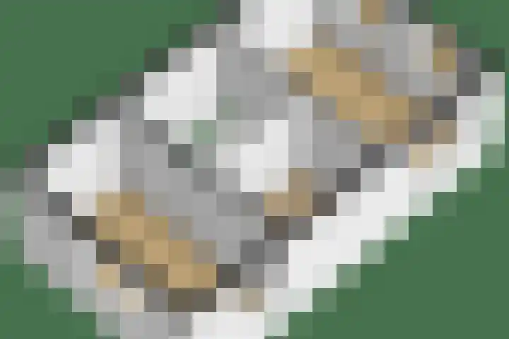 Kees de Beverpad 12 Eindhoven thumbnail 51