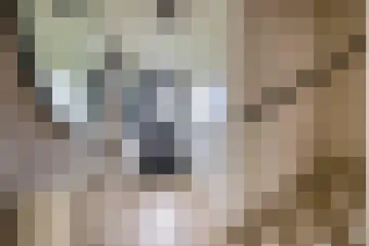 Kees de Beverpad 12 Eindhoven thumbnail 7