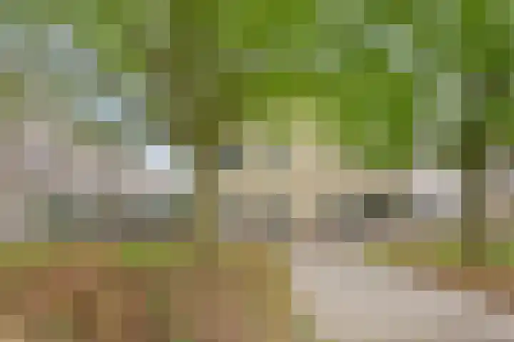 Kees de Beverpad 13 in Eindhoven