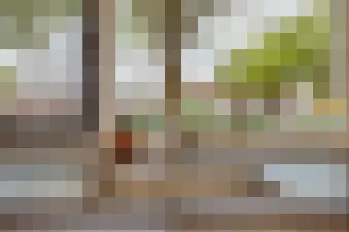Kees de Beverpad 13 Eindhoven thumbnail 11
