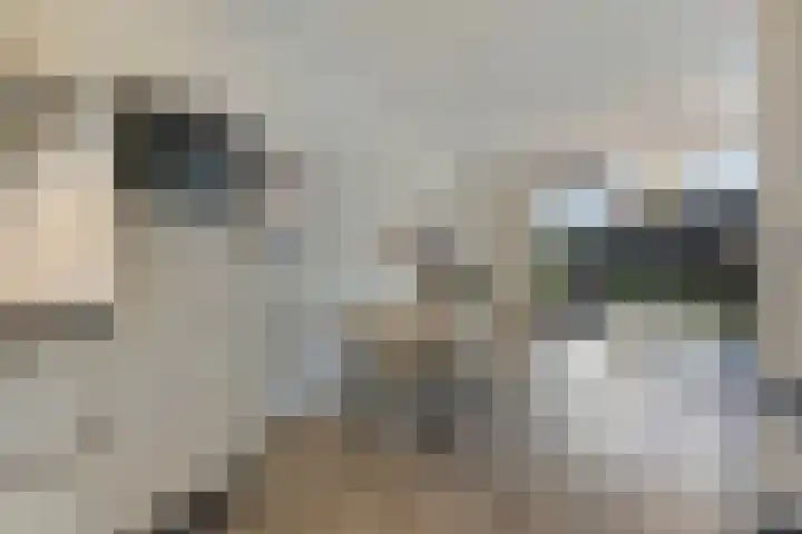 Kees de Beverpad 13 Eindhoven thumbnail 12