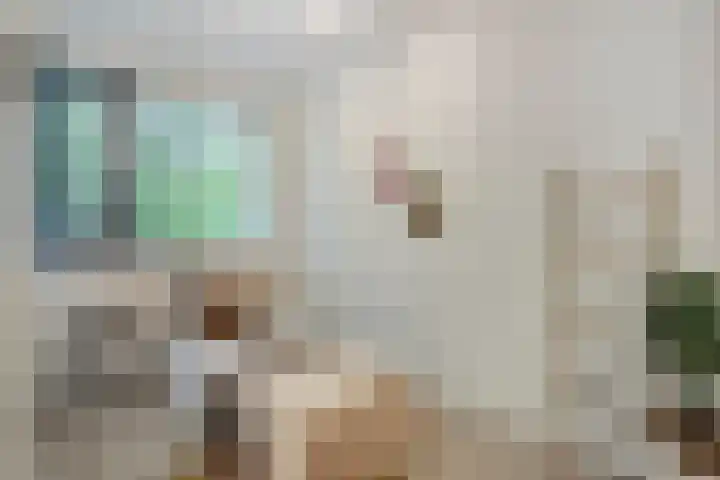Kees de Beverpad 13 Eindhoven thumbnail 16
