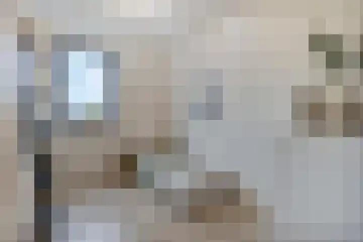 Kees de Beverpad 13 Eindhoven thumbnail 17