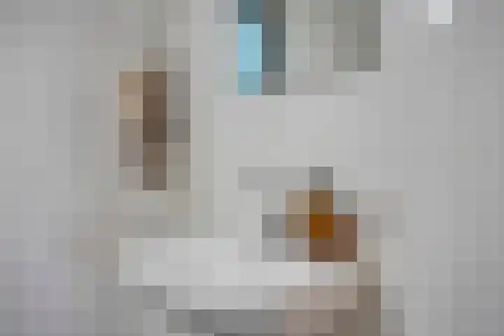 Kees de Beverpad 13 Eindhoven thumbnail 20