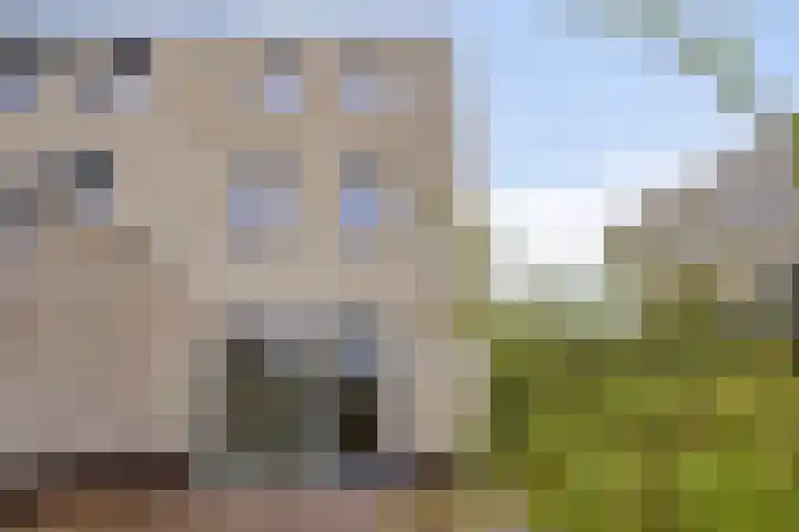 Kees de Beverpad 13 Eindhoven thumbnail 26
