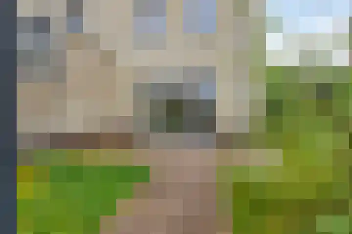 Kees de Beverpad 13 Eindhoven thumbnail 27